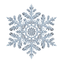 Snowflake